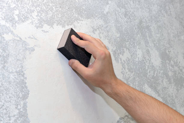 Best Industrial Mold Remediation  in Oshkosh, WI