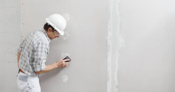 Best Mold Remediation for Healthcare Facilities  in Oshkosh, WI