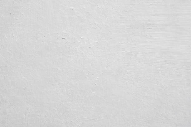 Best Emergency Mold Remediation  in Oshkosh, WI