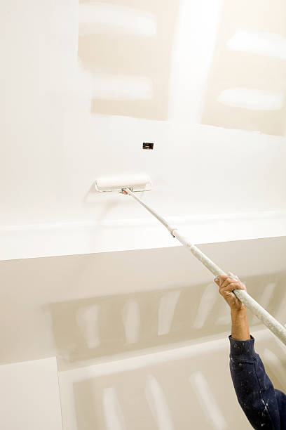 Best Real Estate Mold Inspection  in Oshkosh, WI