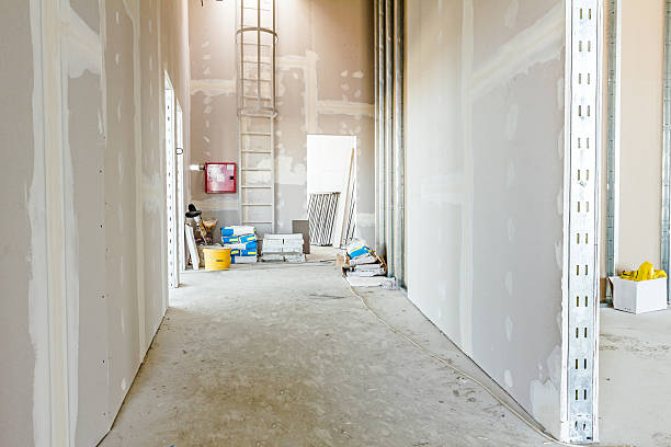 Mold Odor Removal Services in Oshkosh, WI